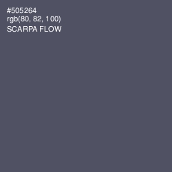#505264 - Scarpa Flow Color Image